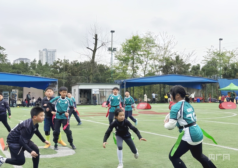 绝对零度 Rugby 他们凭这个小众项目征服大众(图5)