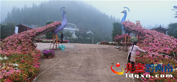 昨日兴义市万峰林庄园式花街开放(图1)