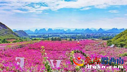 昨日兴义市万峰林庄园式花街开放(图2)