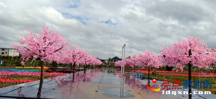 昨日兴义市万峰林庄园式花街开放(图3)