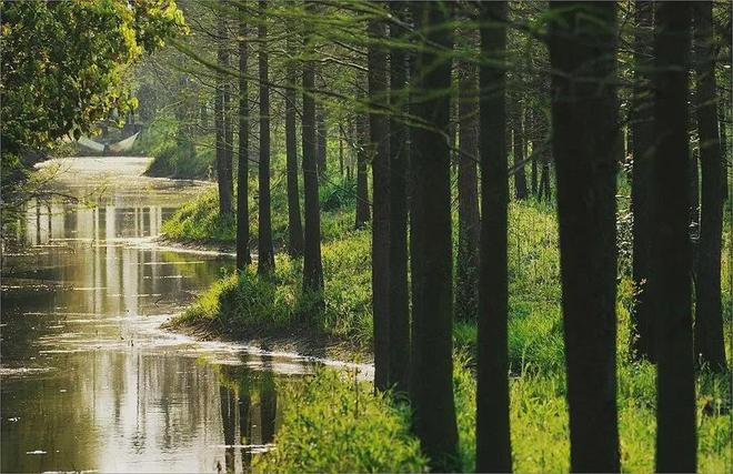 上海萬合雲府售楼处开放！雲境好房可预约宜居之选(图9)