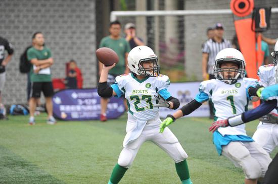 粤港澳全运会）同标、同步、同心 粤港澳合作保障十五运会顺利举办(图1)