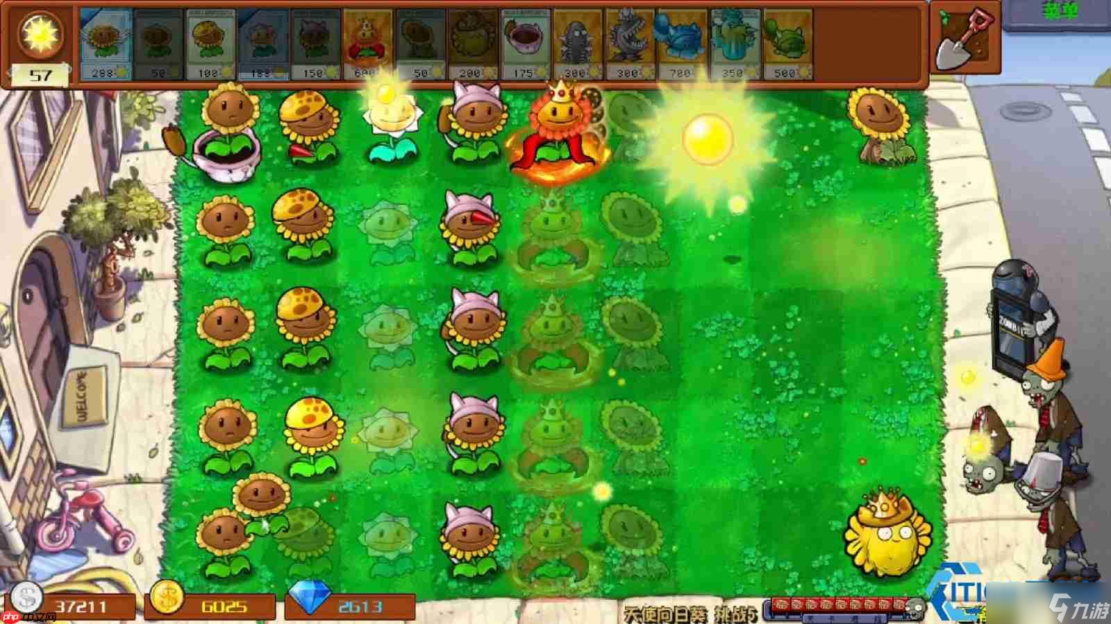 植物大战僵尸防守关卡终极攻略 阳光风暴与坚果堡垒的完美结合(图1)