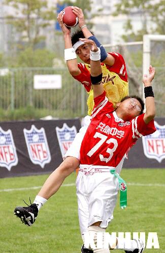 哈尔滨市公共资源交易中心(图1)