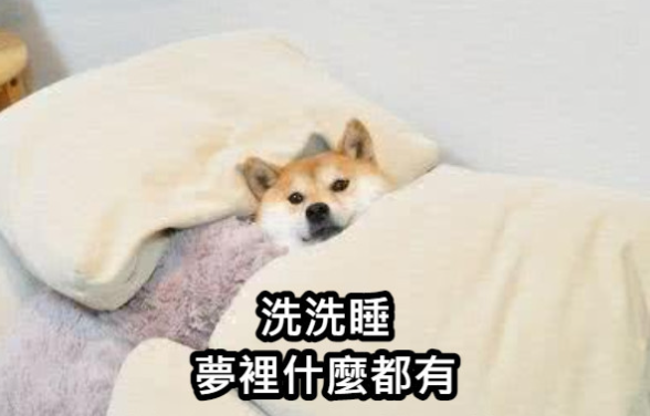 人心涣散的北约峰会是拜登最后一张“救命符”(图12)