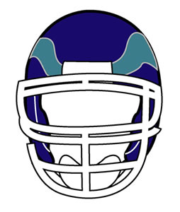 佛山兕虎美式橄榄球(图1)