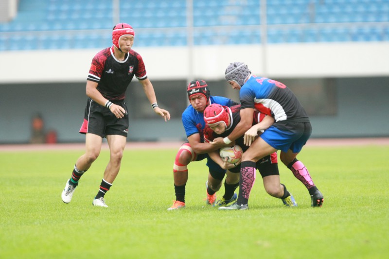 生与死：沙滩排球2(图1)