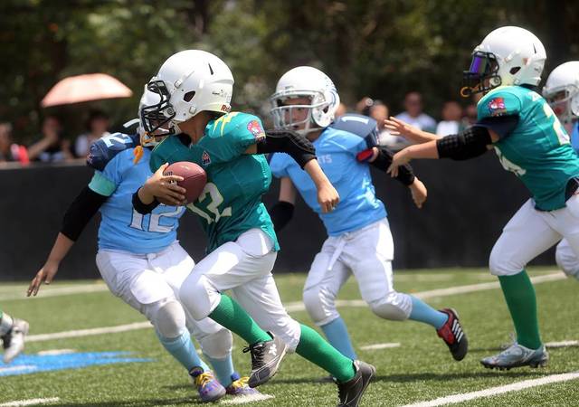 北美留学一定要看一场橄榄球赛(图1)